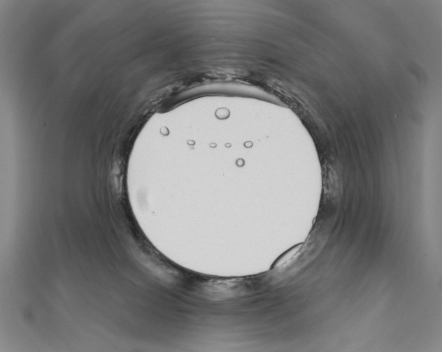 X0000111590086200908271018