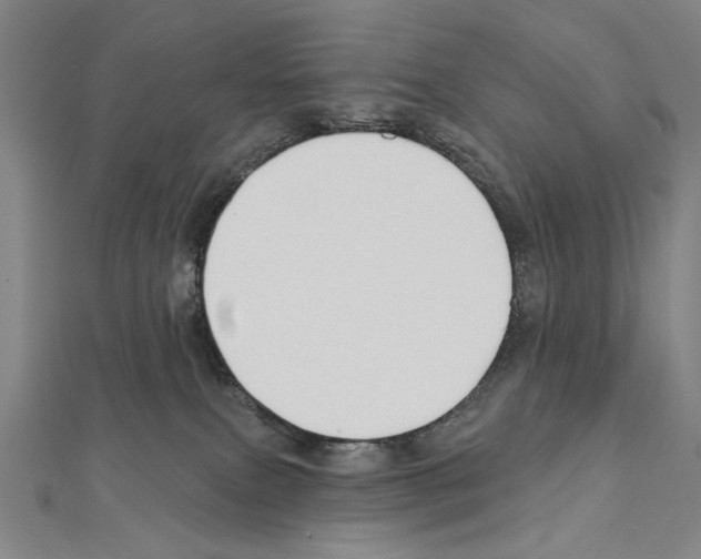X0000111590087200908271018