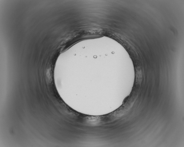 X0000111590088200908271018
