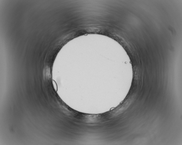 X0000111590089200908271018