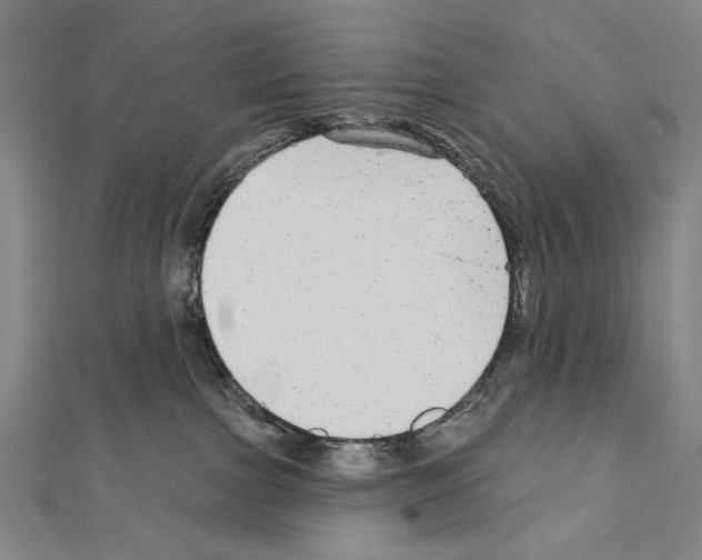 X0000111590091200908271018
