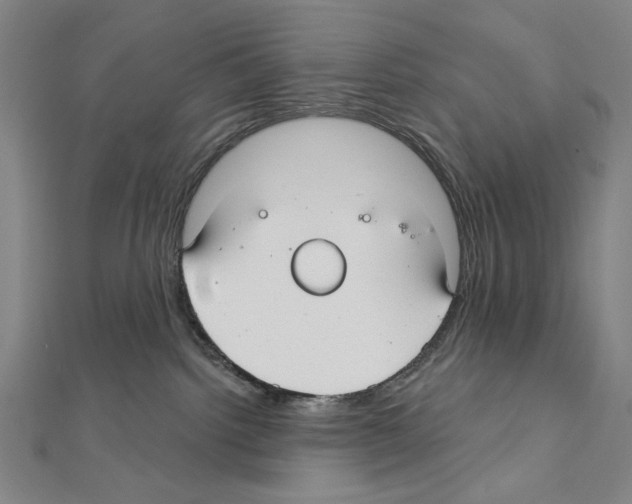X0000111590092200908271018