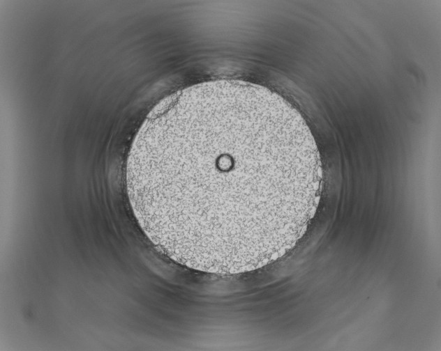 X0000111590093200908271018