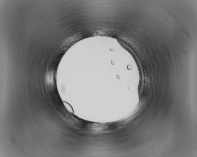 X0000111590094200908271018