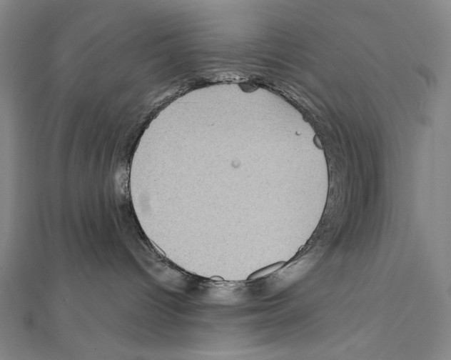 X0000111590096200908271018