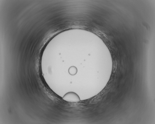 X0000111590098200908271017