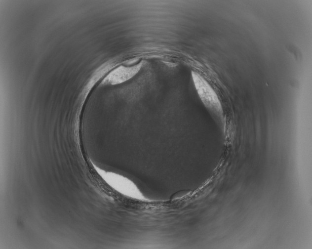 X0000111590099200908271017