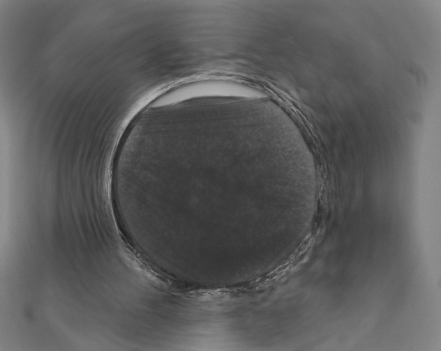 X0000111590100200908271017