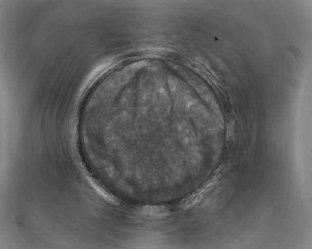 X0000111590101200908271017
