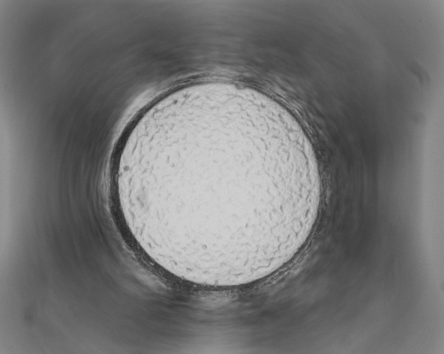 X0000111590102200908271017