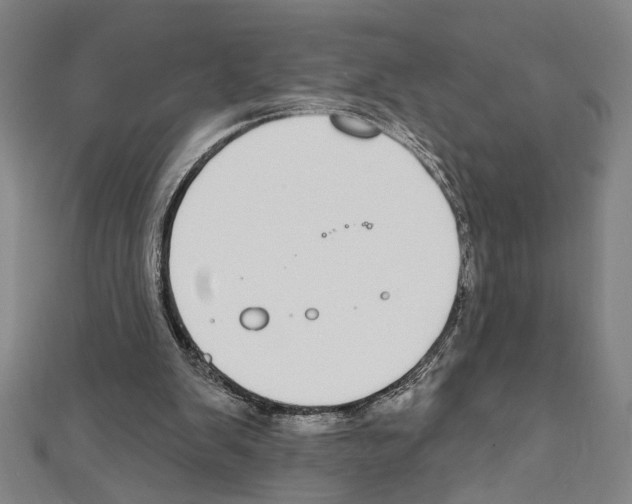 X0000111590103200908271017
