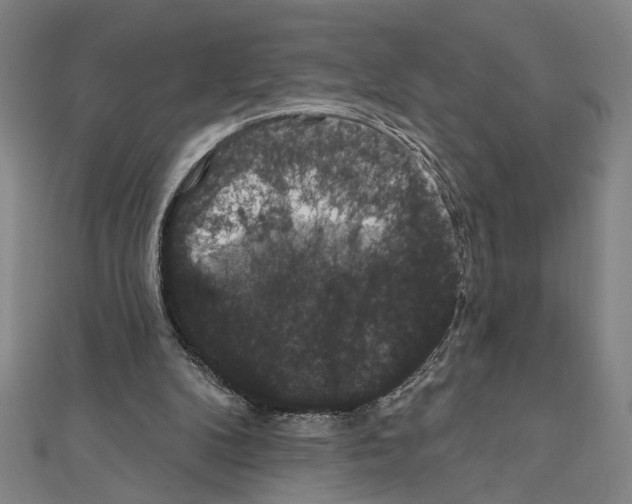 X0000111590104200908271017