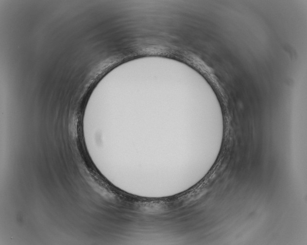 X0000111590106200908271017