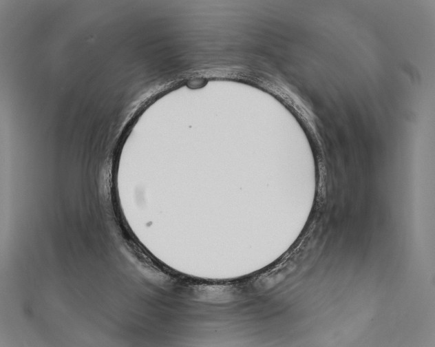 X0000111590107200908271017