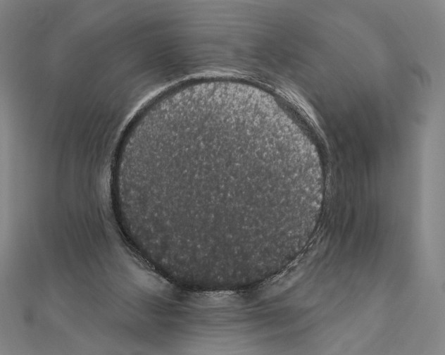 X0000111590108200908271017