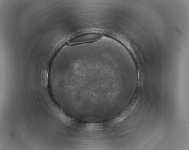 X0000111590109200908271017