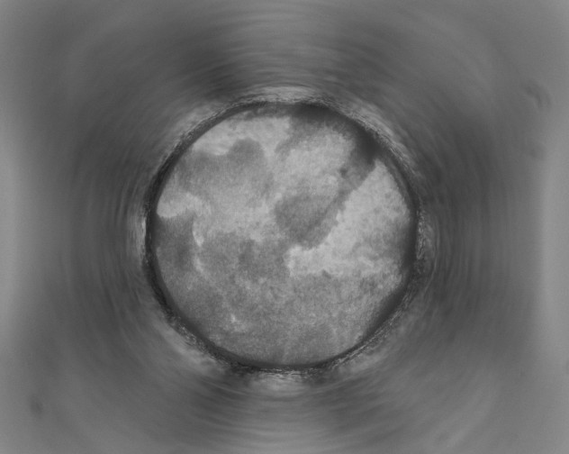 X0000111590110200908271017