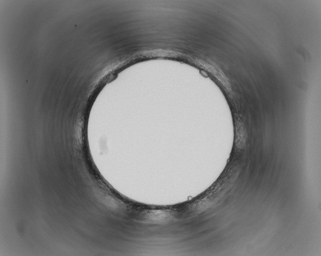 X0000111590111200908271017