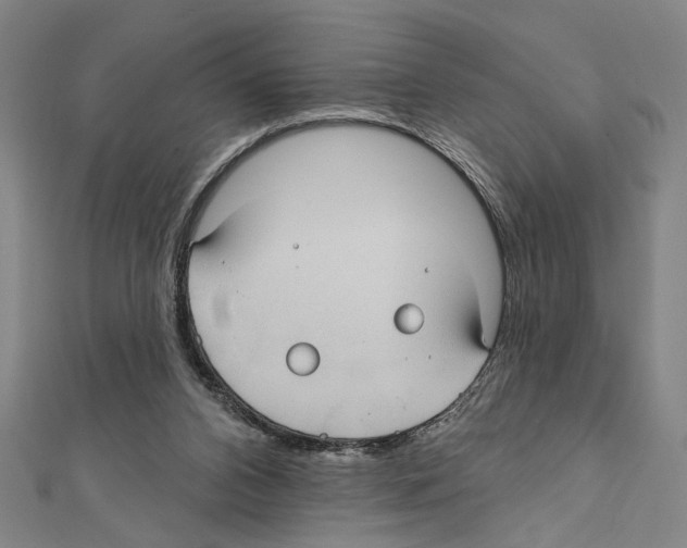 X0000111590112200908271017