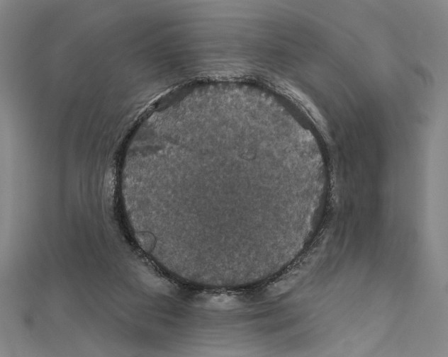 X0000111590113200908271017