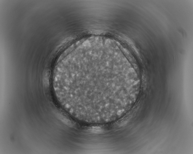 X0000111590114200908271017
