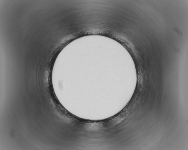 X0000111590115200908271017