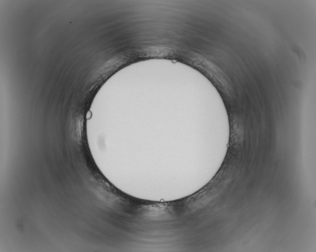 X0000111590118200908271017