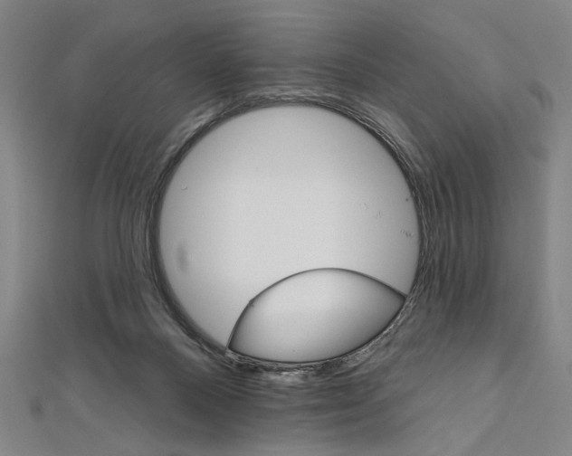 X0000111590120200908271017