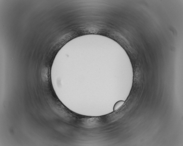 X0000111590122200908271017