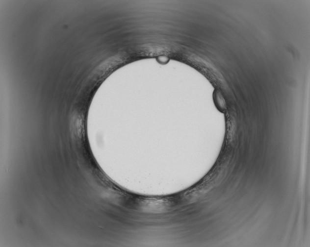 X0000111590123200908271017
