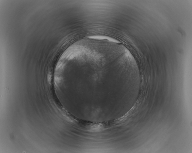 X0000111590124200908271017