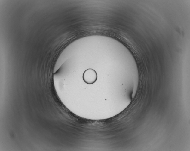 X0000111590125200908271017
