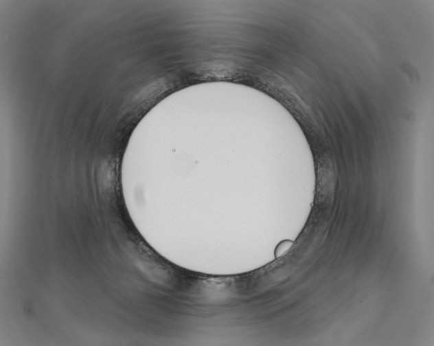 X0000111590126200908271017