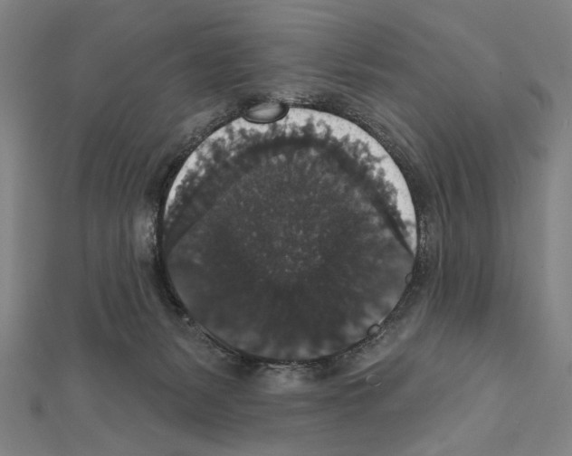 X0000111590127200908271017