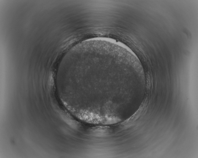 X0000111590128200908271017