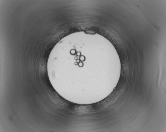 X0000111590129200908271017