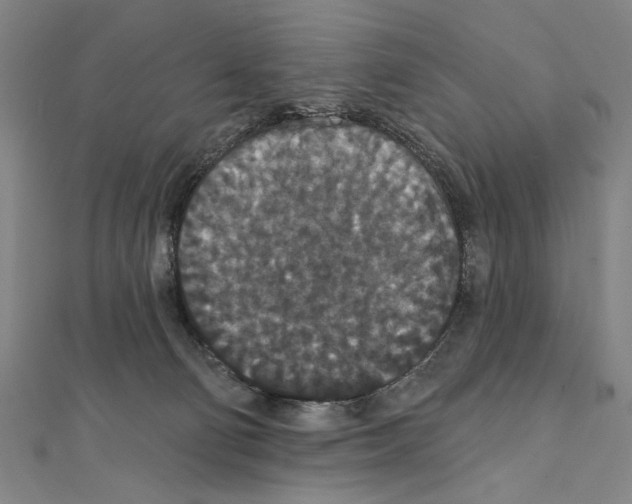 X0000111590130200908271017