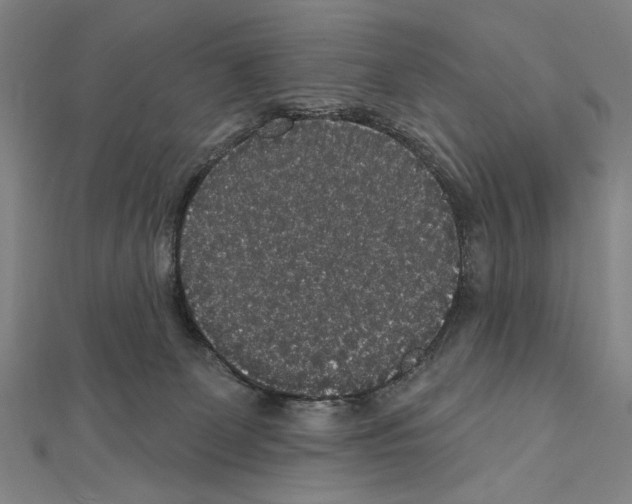 X0000111590131200908271017