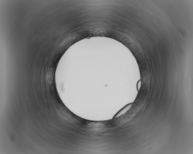 X0000111590133200908271017