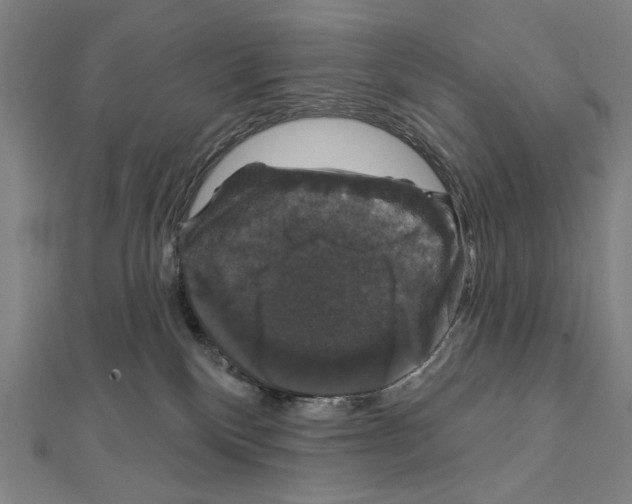 X0000111590136200908271017