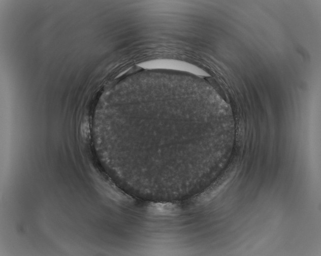 X0000111590137200908271017
