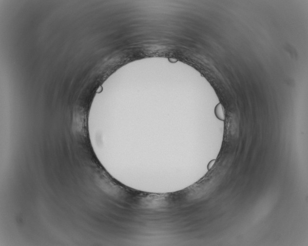 X0000111590138200908271017