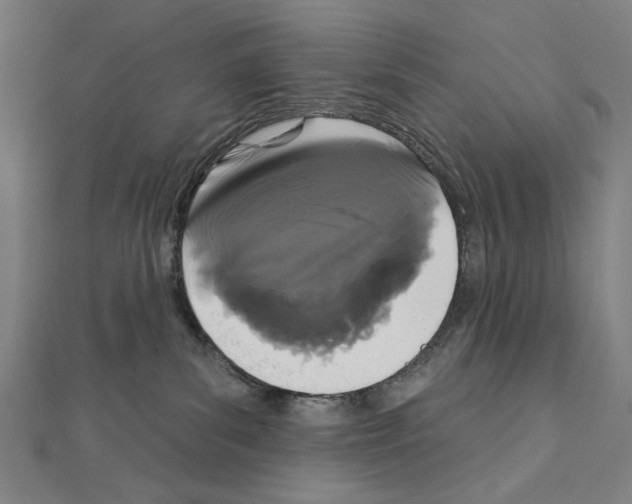 X0000111590139200908271017