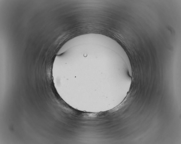 X0000111590140200908271017