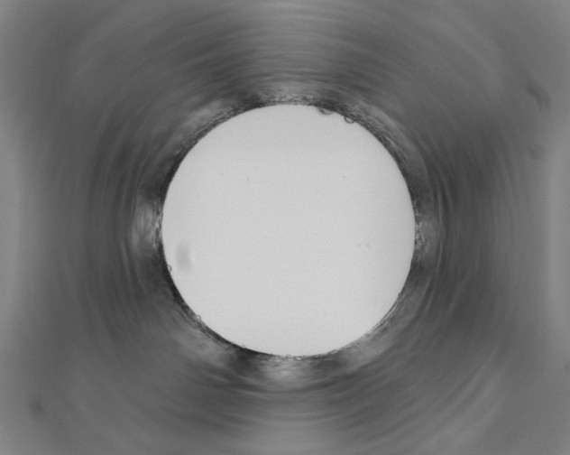 X0000111590142200908271017
