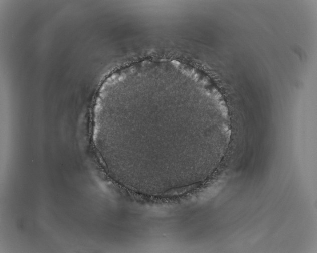 X0000111590144200908271017