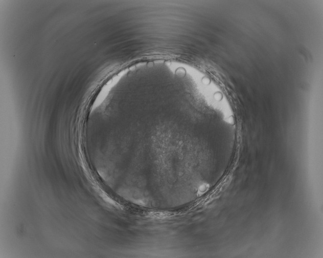 X0000111590145200908271016
