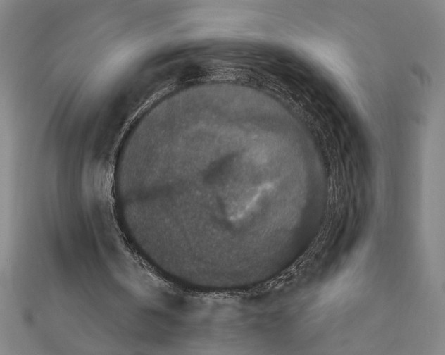 X0000111590146200908271016
