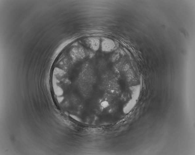 X0000111590147200908271016