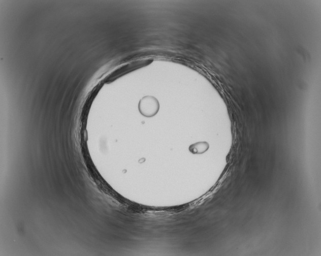 X0000111590150200908271016